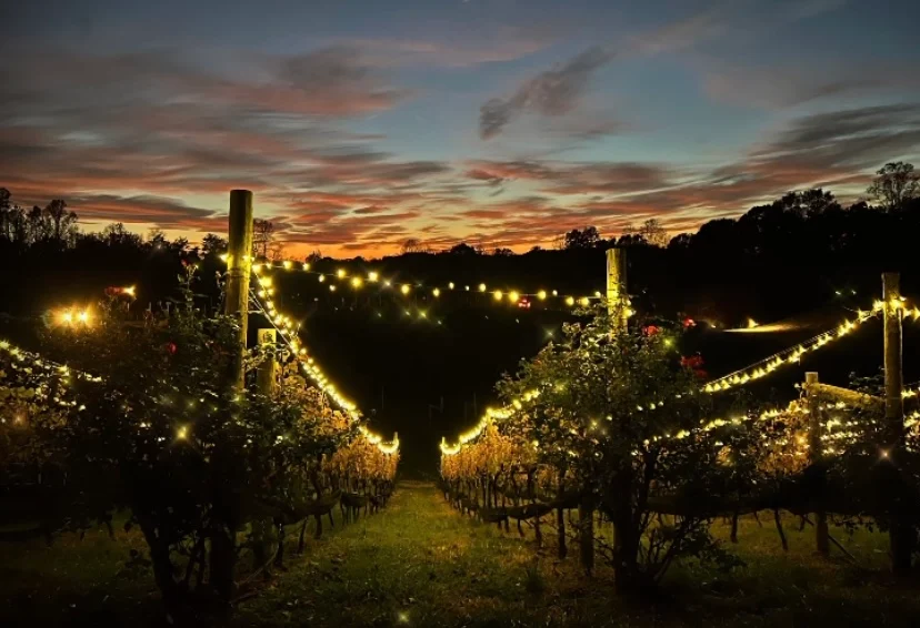 Vineyard Hilltop Light at Berrycrest Inn