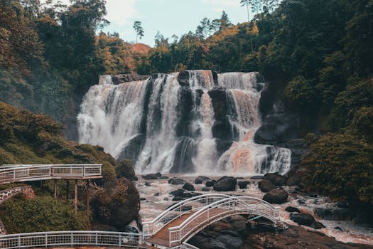 Best Accommodations Near Tourist Attractions in Pemalang Indonesia